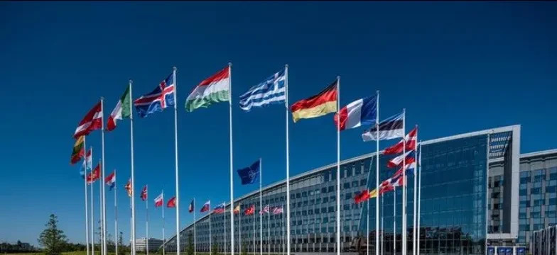 北约东扩：小国求生的无奈选择





---





要命了！俄罗斯的说法简