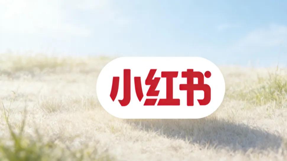 丽江文旅局“喊话”小红书：谁来管管“避雷帖”？