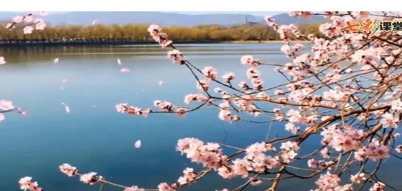 二十四节气·夏至｜
夏至到，鹿角解，蝉始鸣，半夏生，木槿荣。
读懂夏至，懂得夏至