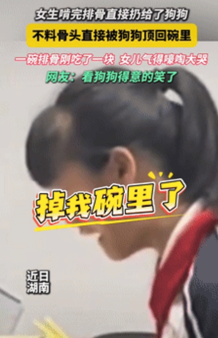 真成精了？”湖南一女孩在吃排骨吗，刚吃了一块，将骨头扔给狗狗，没想到狗狗直接将这