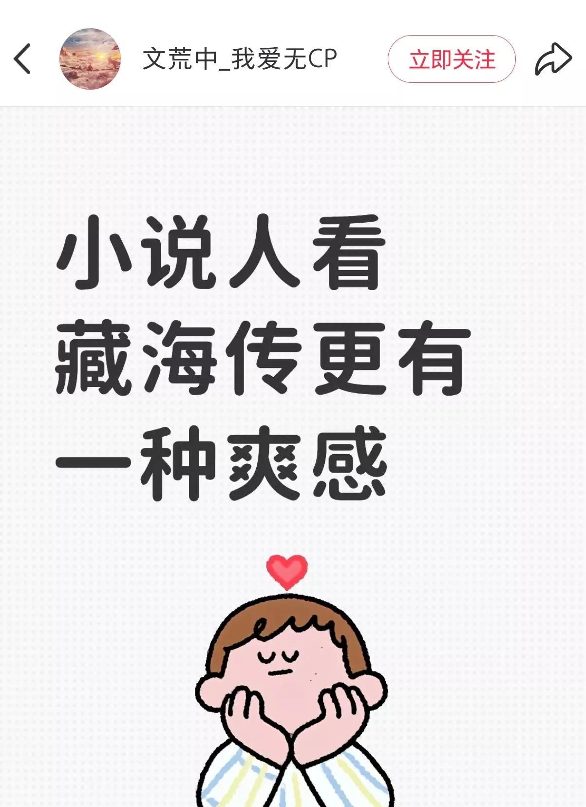 小说人看藏海传更有一种爽感，我懂，就是看小说时想象中特别带感的画面，肖战直接演给