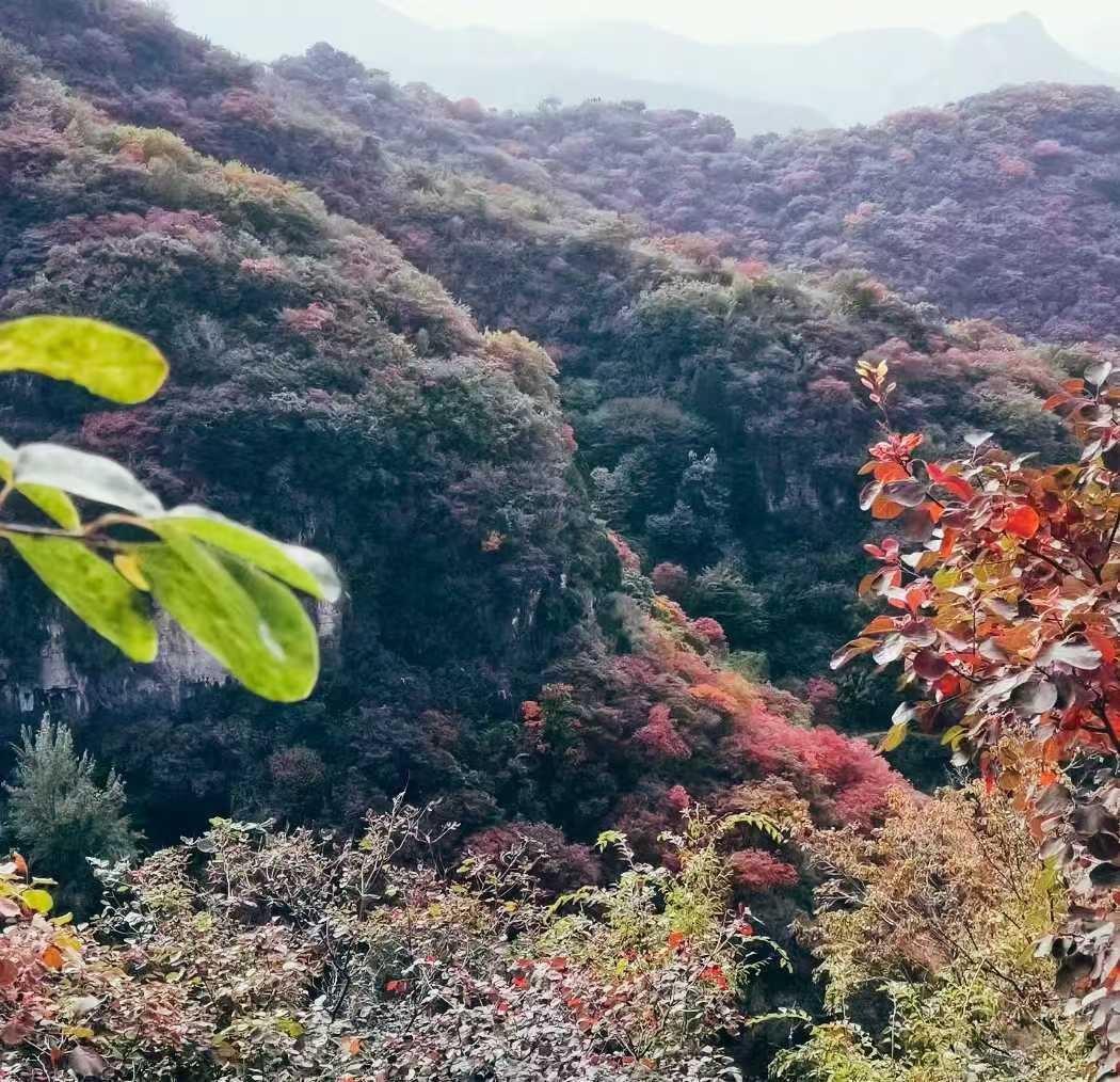 一直安慰着自己，总觉得幸福不会遗漏任何人
