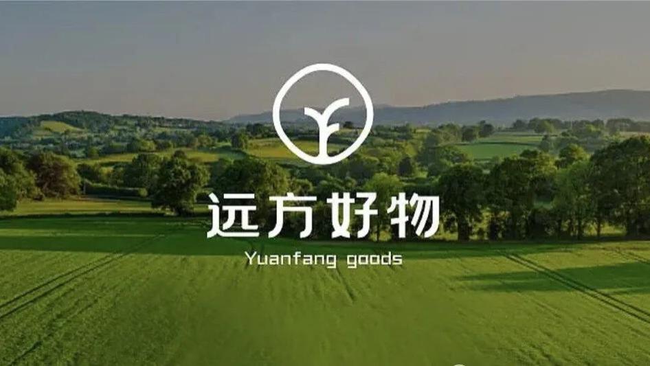 两年营收20亿！远方好物：靠“代理模式”杀出重围，成为私域电商最猛黑马