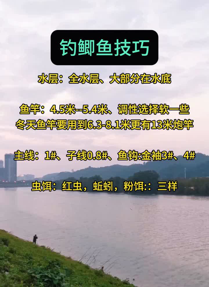 钓鲫鱼技巧。
·水层：全水层，大部分在水底。
·鱼竿：4.5米--5.4米，