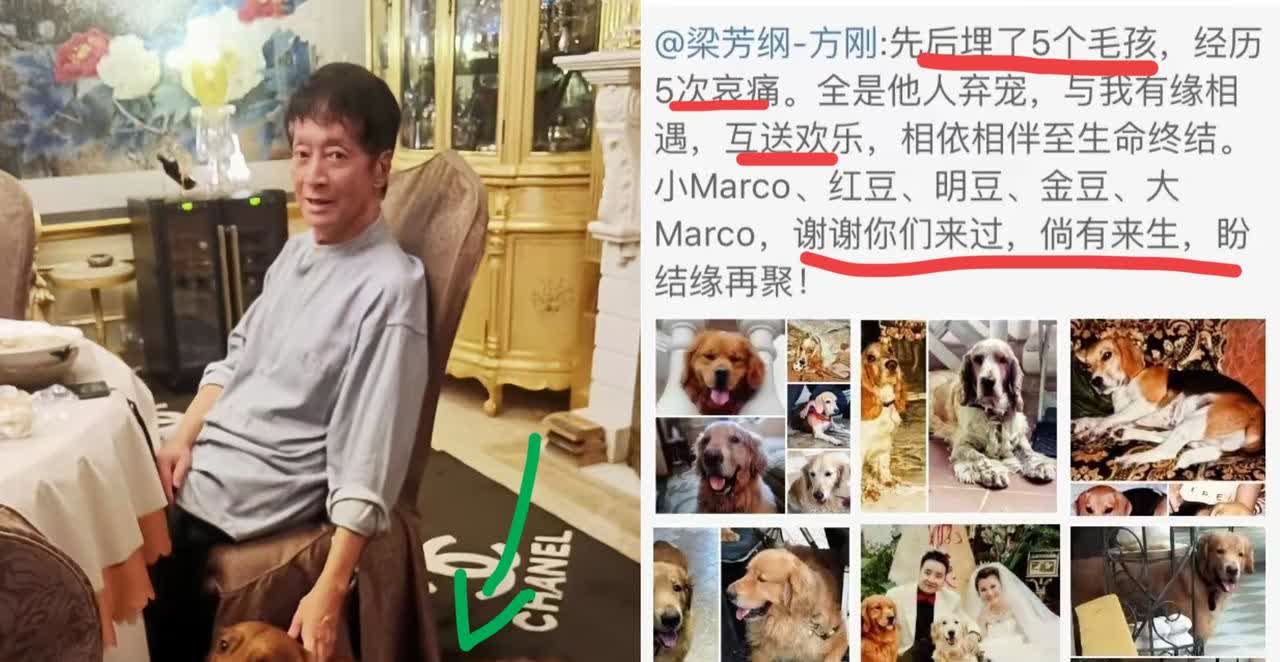 香港知名演员方刚离开了
他最放心不下的不是义子王瀚祥
也不是毕生热爱的演艺事