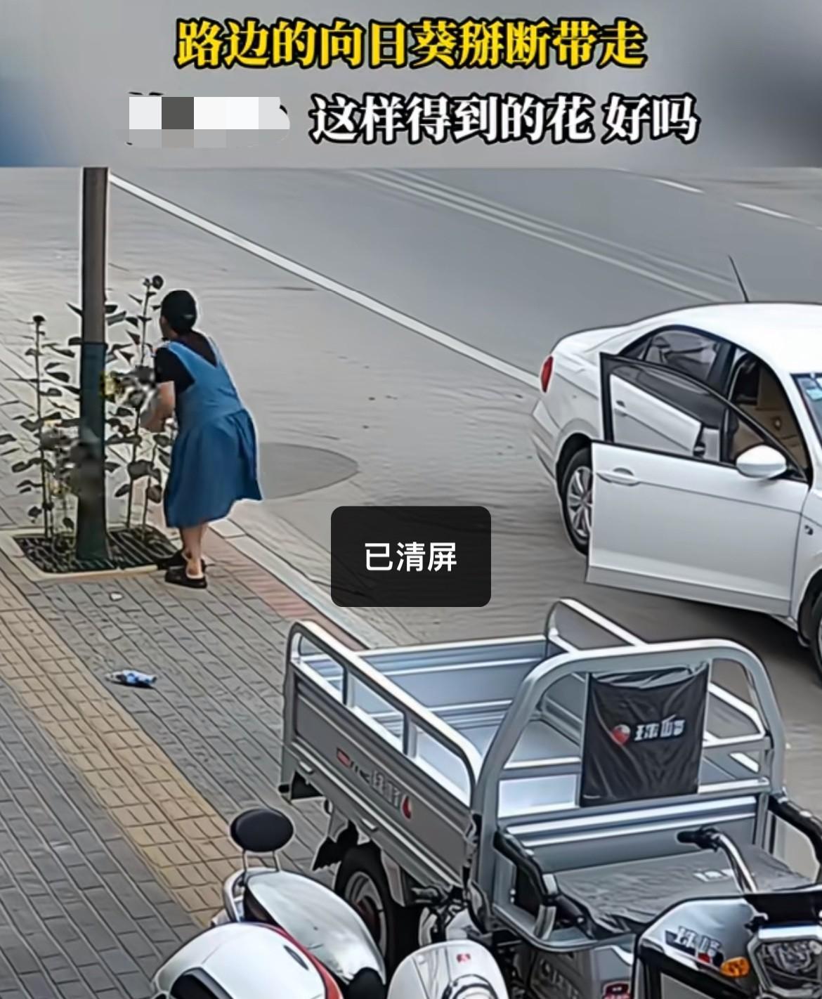真丢人！别人是一举夺魁，她这是一折成贼，这两天向日葵火遍大江南北，成为了高考美好