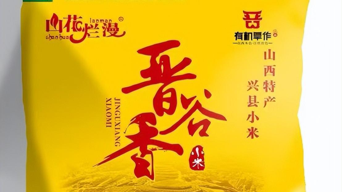 寻味黄土高原：兴县晋谷21号小米的独特滋味