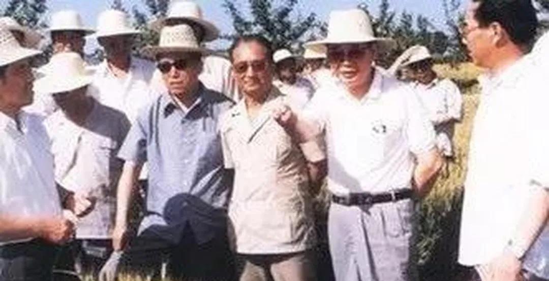 1988年6月10日，李鹏与陈俊生，率多部门负责同志，在河北的考察，这是在稻田中