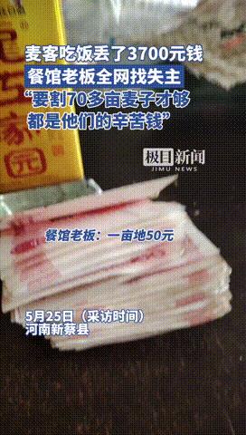 “这老板真‘中’！”河南新蔡，4名外地麦客割了70多亩麦子后，去一家小餐馆午饭。