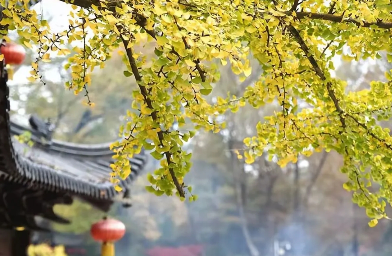 发现一个普遍现象，
许多老同志还没办理完退休手续，
便开始与原单位切割。
不接受