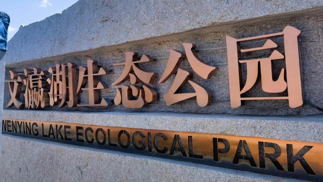 从“煤矿塌陷区”到“城市绿肺”：山西大同文瀛湖生态公园旅游攻略