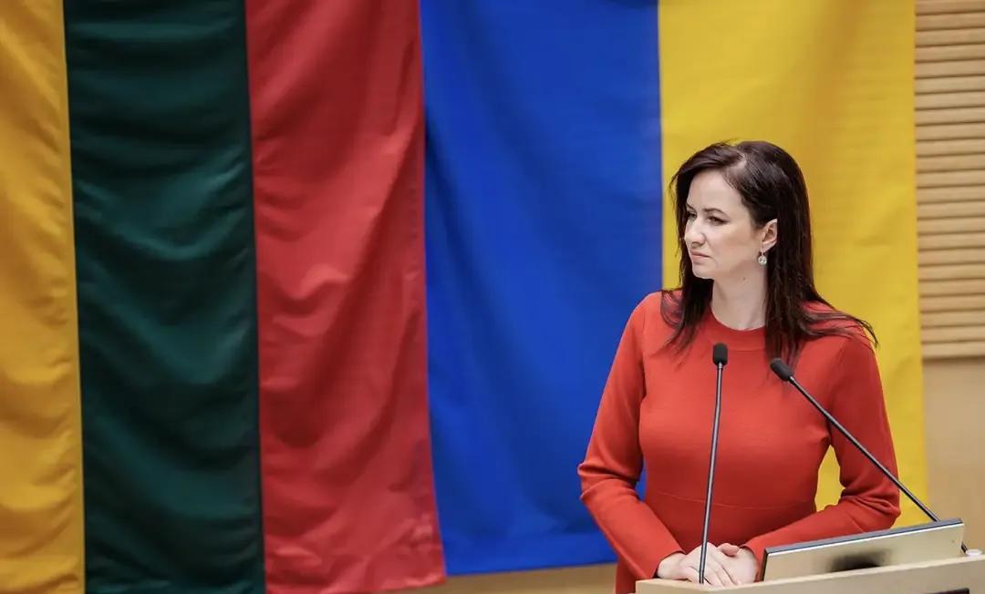 立陶宛议会批准英加·鲁吉涅内出任该国总理。前总理因为巨额资金来源不明，辞职不干了
