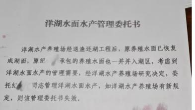 一份未到期的承包合同：纪某与洋湖水产场的承包合同履约争议