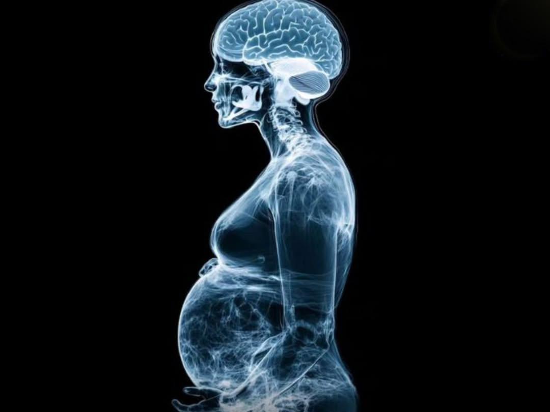 怀孕改造大脑：增强母爱，偶尔迷糊
怀孕不仅改变身体，更是一场大脑的奇妙重塑。科学