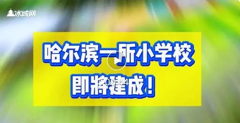 来源：冰城网