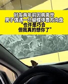 “泪目了！”辽宁一男子的战友前两年因病离开了人世，6月20日，一只蝴蝶飞进了他的