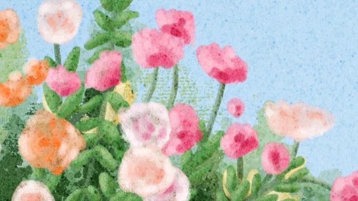 《我的外婆从不内耗》｜10句让心灵松绑的智慧语录