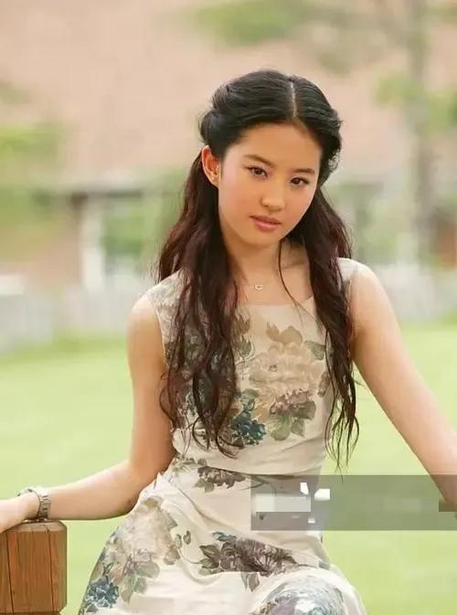 还有婴儿肥时期的刘亦菲，气质比不上现在。#明星 刘亦菲#