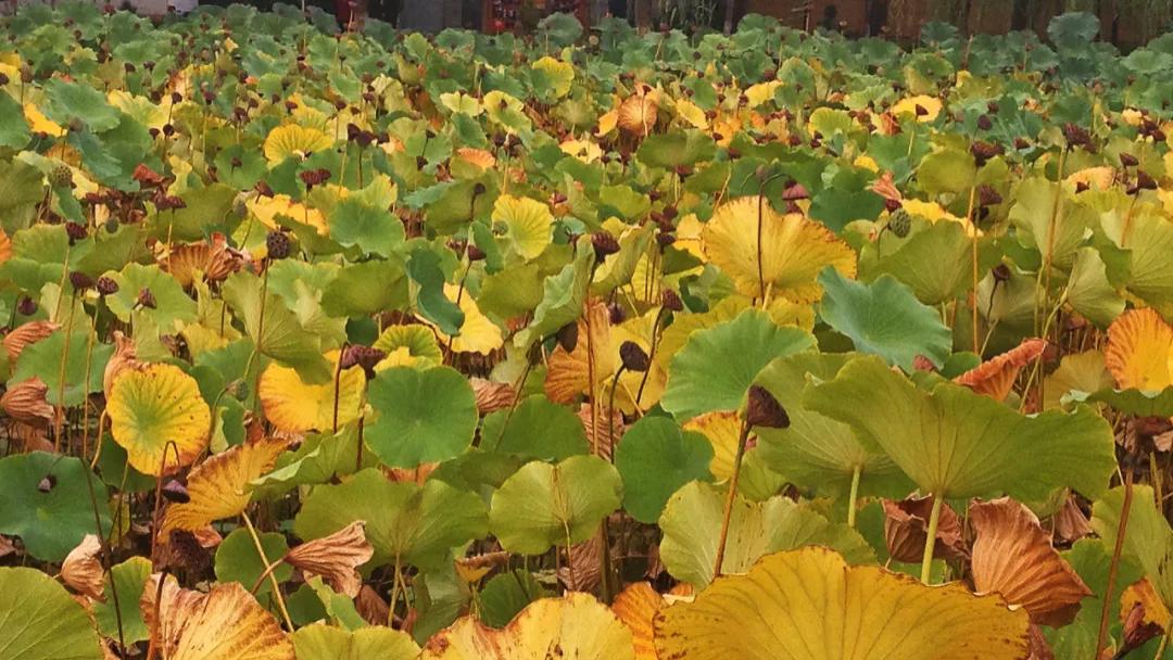 过往不究，展望勿远，把握现在