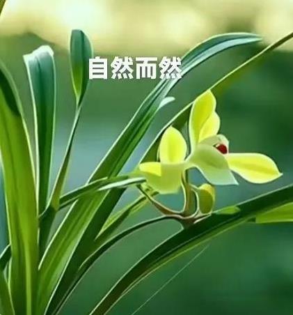 早上好，今天是7月10日星期四。
报告大家好消息！
在刚刚结束的世联赛第三周美国
