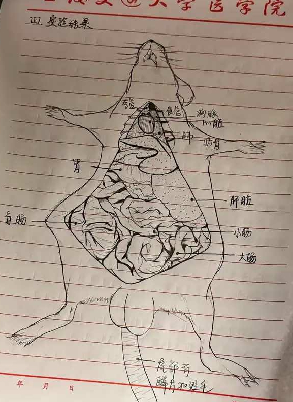 谁敢吃这个，我就嫁给他。