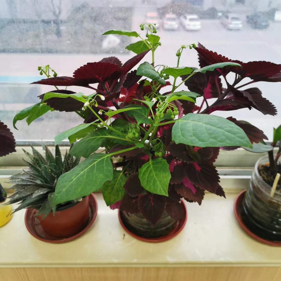 从今往后让我们一起走，细腻的心思我们一起拥有