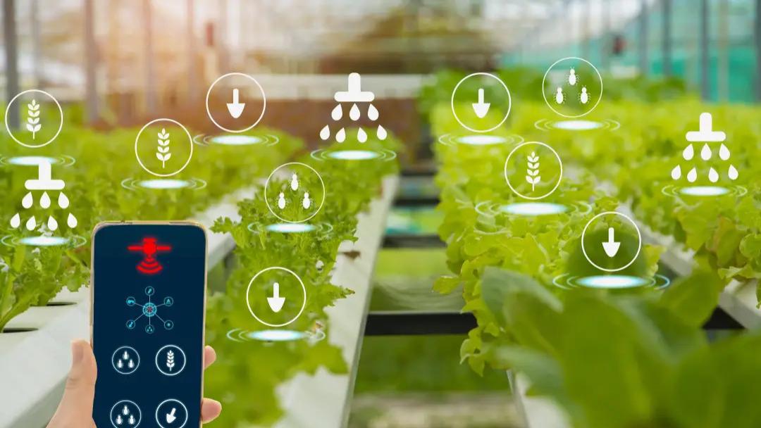 【政策解读】农业农村部关于大力发展智慧农业的指导意见