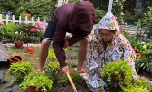 郑恺帮老婆种菜，不扫兴的好老公呀  苗苗在租来的别墅弄菜园，郑恺一直帮老婆忙碌，