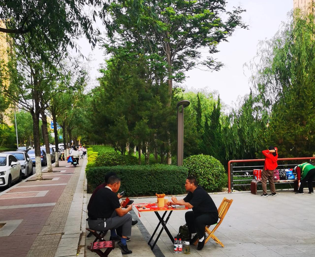 李村河畔，大树下算卦的卦摊，看起来生意还是不错的。