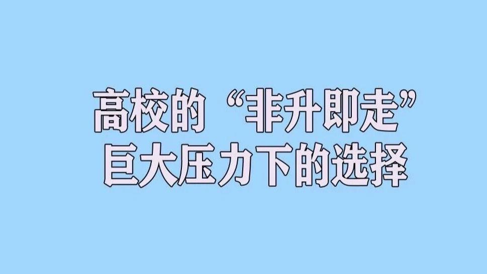 高校“非升即走”的预聘制下，青年教师在巨大压力下是更专注了还是更短视了？