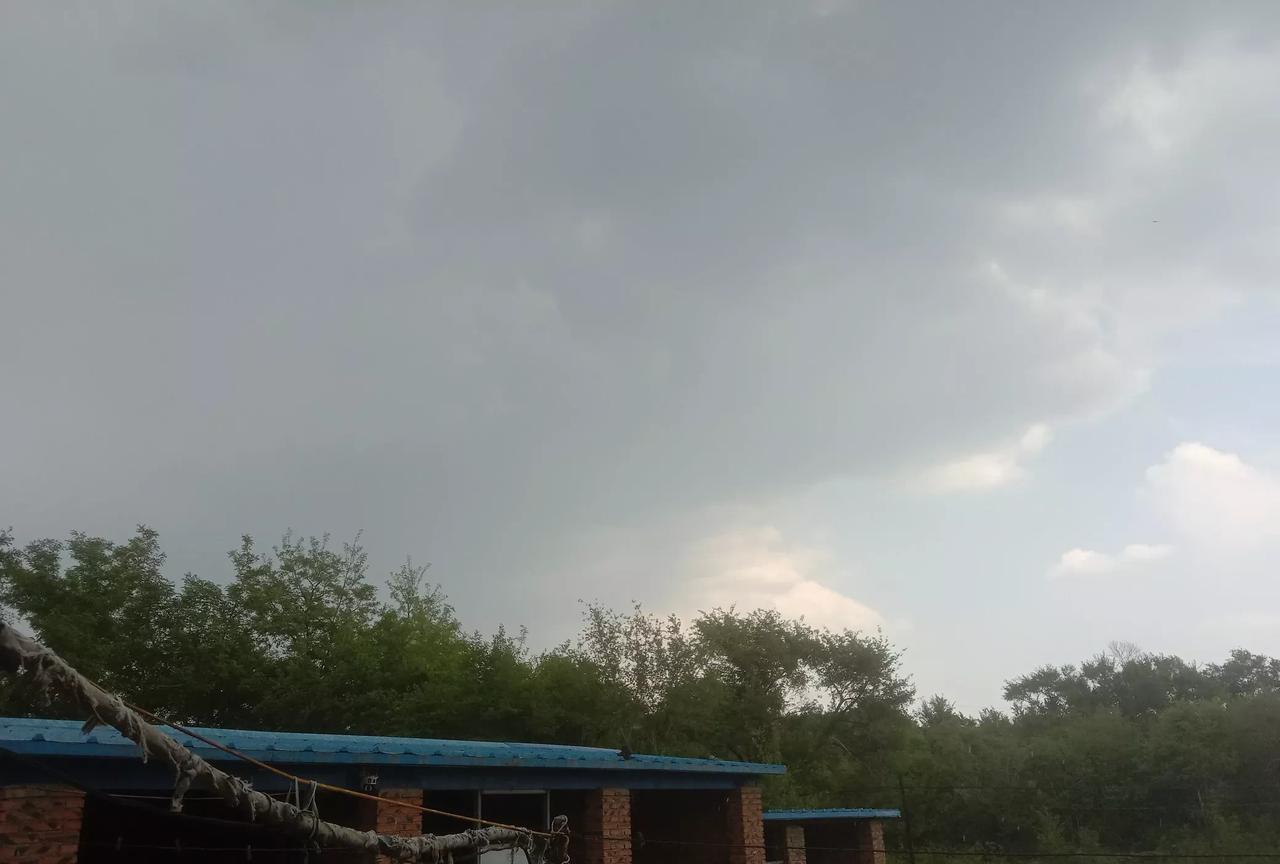 今日下午，朝阳县部分乡镇有雨。
下午13:23分，截止笔者发稿之时，朝阳县部分乡