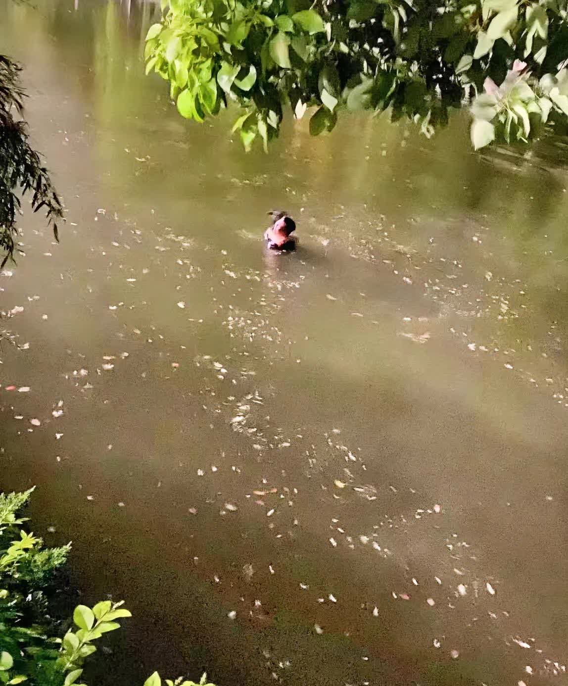 在村里的水库边上发生了一件事儿。有位钓鱼大哥英勇地救起了落水的小女生，这本该是一