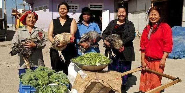 印度老哥太牛了，娶妻生娃真不少











震惊！印度一男子竟然娶了3
