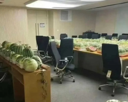 因为给领导准备水果被开除了，太欺负人了！
