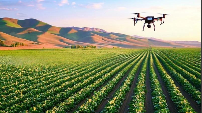 以微观之力筑牢粮食安全根基，激活乡村振兴新动能