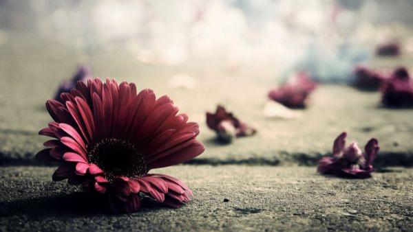 天道守恒定律：那些阻碍你的，都是来“渡”你的