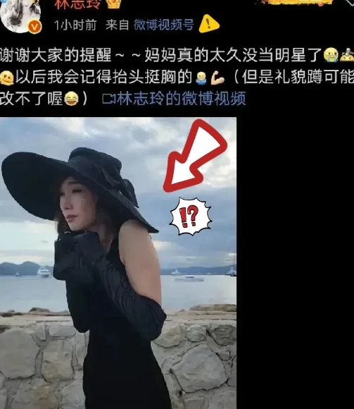 刚刚查了一下林志玲icon
不查不知道
一查才明白，林志玲被网友吐槽驼背的片段，