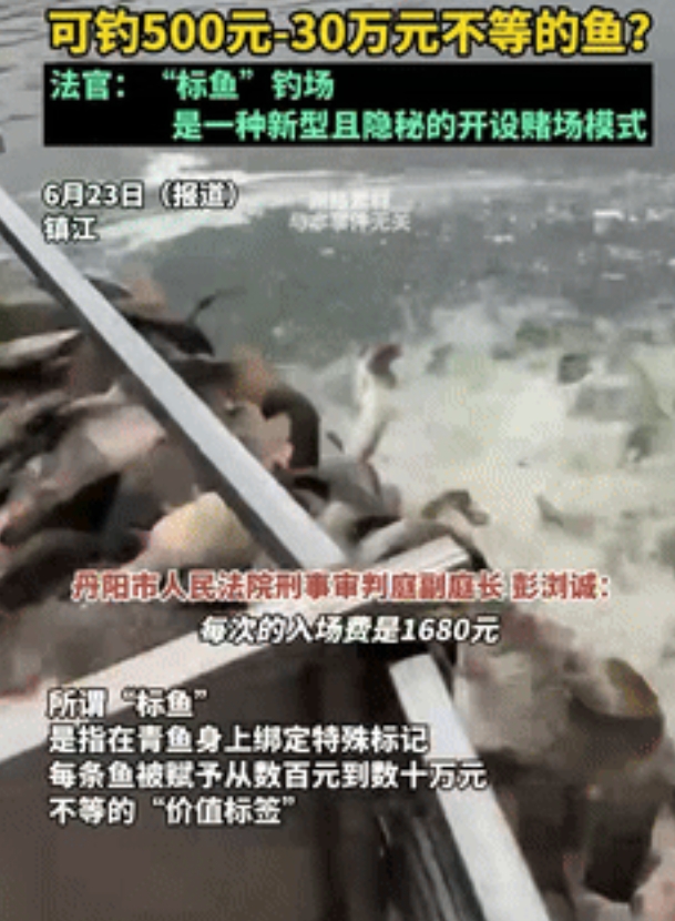 吃了熊心豹子胆！江苏，男子和朋友包了一大片鱼塘，买了5000多条鱼，其中有700