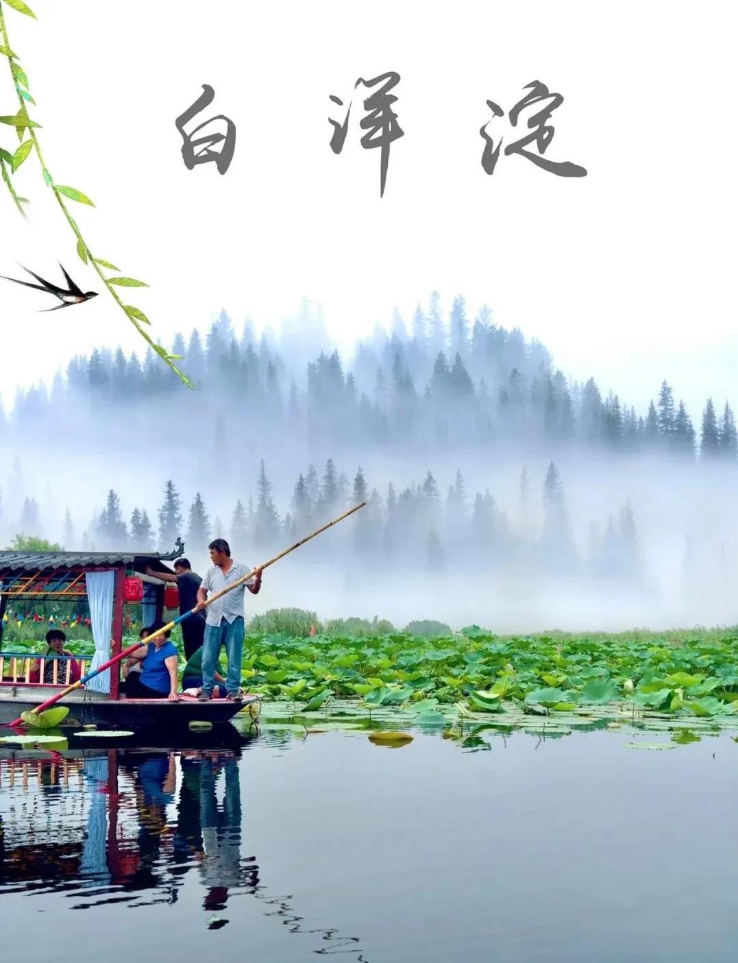 扎胎的终于刑拘了，游客也走光了！白洋淀为自己的狂妄付出代价！
白洋淀的现状是：往