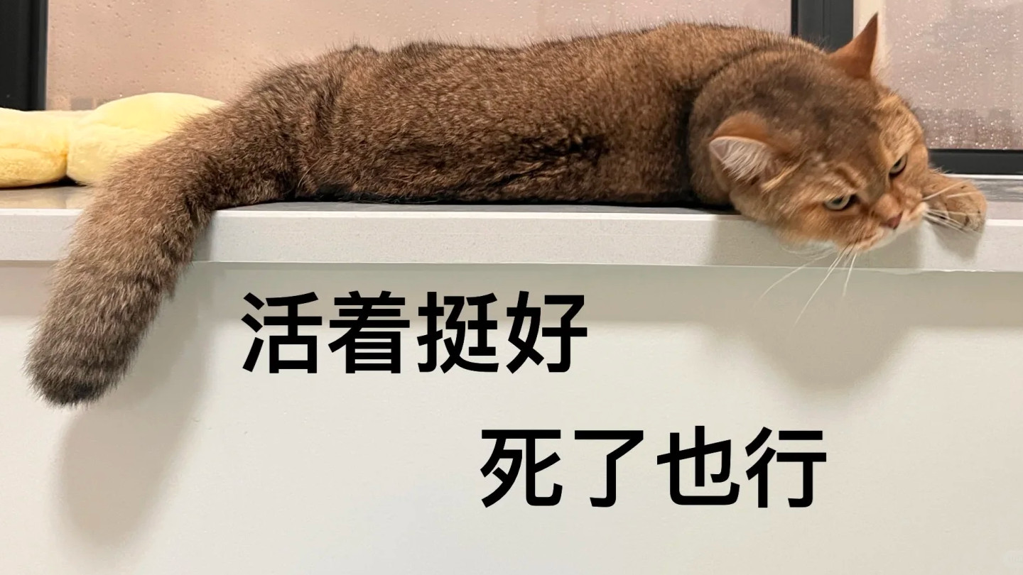 “死了么”，还活着