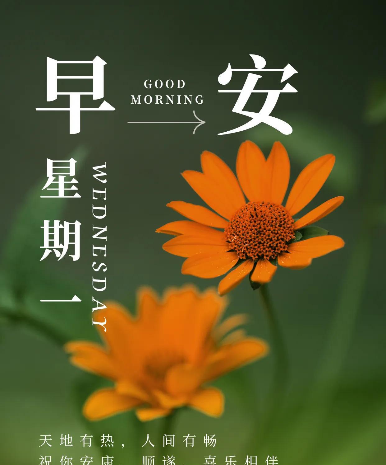 夏叶田田，写满了生长的热烈；夏阳灼灼，洒下了炽烈的光芒；夏雨淅淅，滋润了心中的清