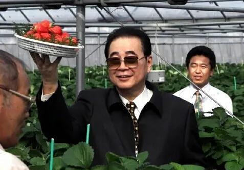 李鹏同志在大棚里的资料图，手捧着草莓，戴着墨镜的照片。