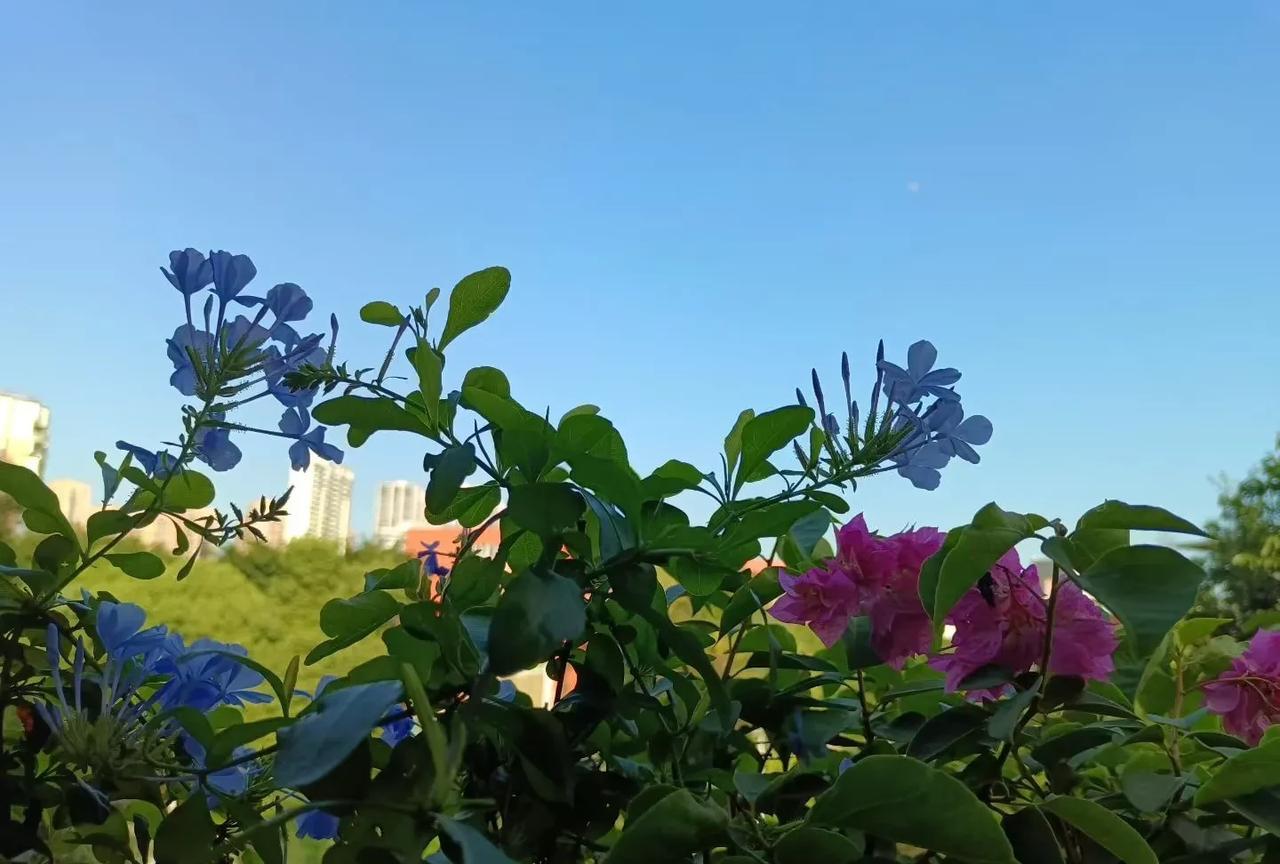 星期一带着小尾巴上班，有点累。
这周在兼职的公司上班。
小孩哥那个活跃，来了公司
