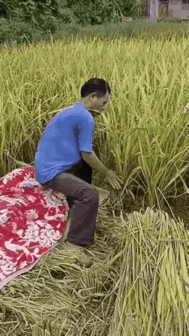 用一句话赞扬一下这位大哥！