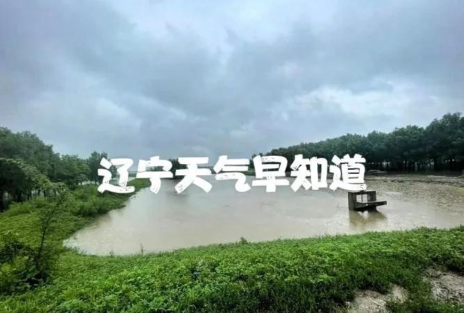 辽宁的朋友注意了！8月3号星期日大家早上好！瓢泼大雨，大家出门注意安全……
今天