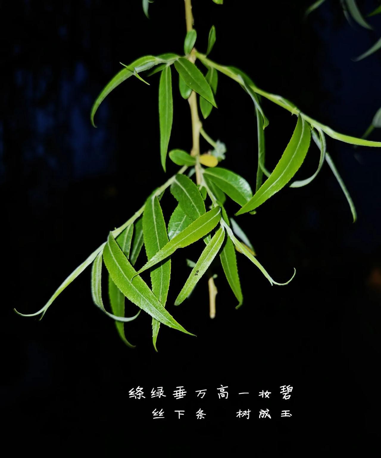谁在摩擦谁？
特朗普虽然想与整个世界打关税战，但由于中国的强势反击，逼得特朗普不