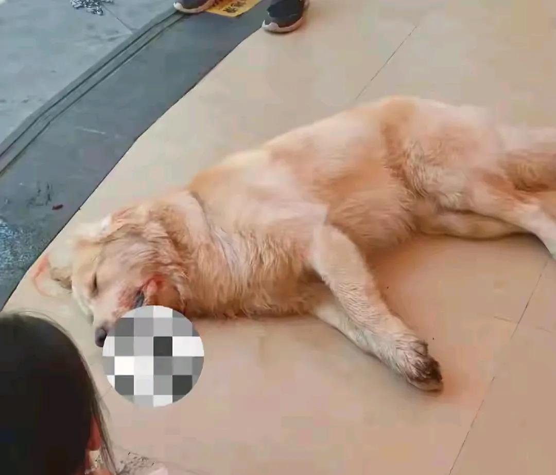 很多人不知道自己为啥穷，特别是很多做点小生意的不知道自己为啥生意不好，穷。主要是