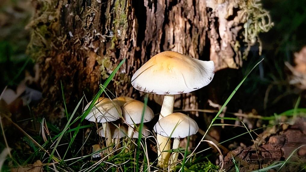 中年男人想要立住脚，靠的就是“一个字”，就够了