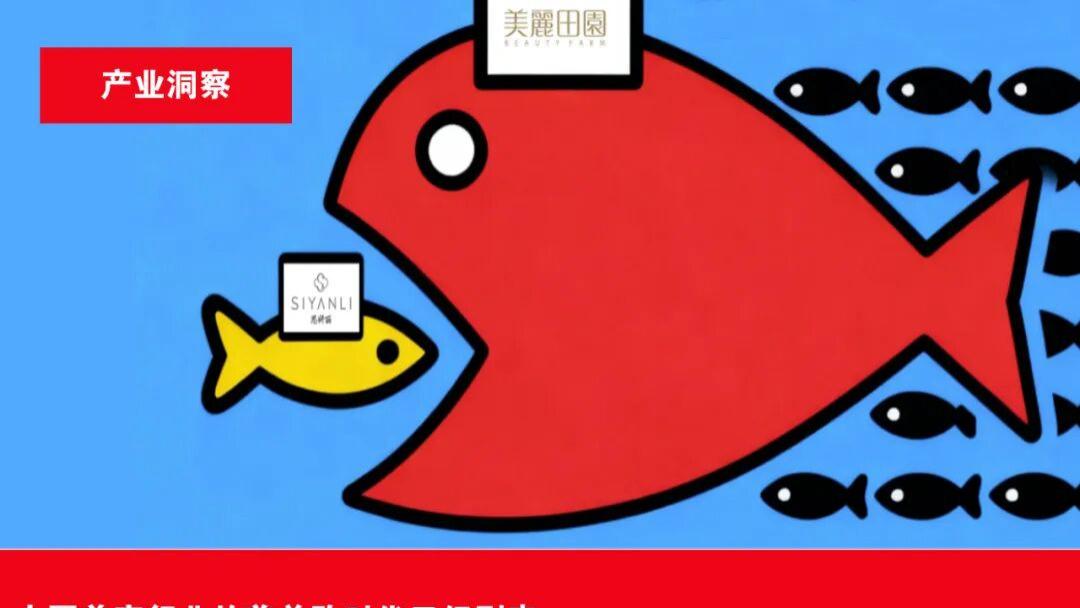 2025年美容行业最大收购案诞生！双美竞争格局大变天