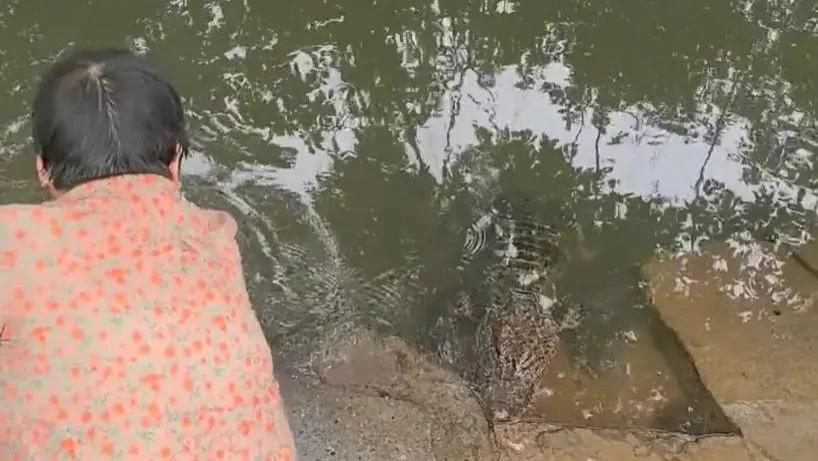 女子在河边洗衣服，水里浮上来个东西